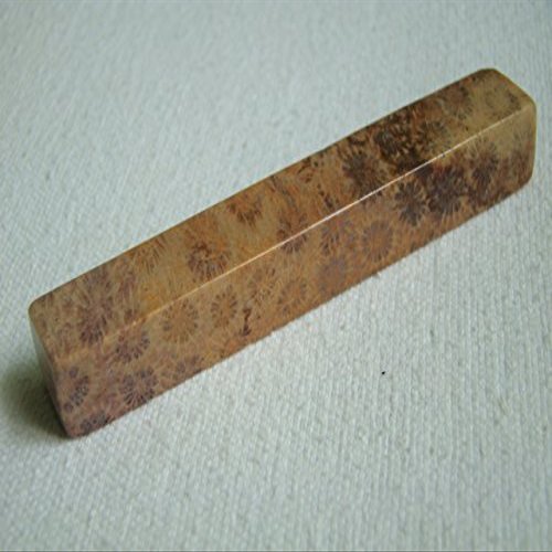 Flo5520 RARE Petrified Coral KNIFE REST