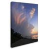 Trademark Fine Art Developing Sunset Storm Artwork by Kurt Shaffer, 18 by 24-Inch view 2
