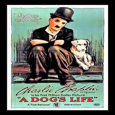 A Dogs Life Fridge Magnet 6x8 Charlie Chaplin Magnetic Movie Poster Canvas Print