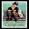 A Dogs Life Fridge Magnet 6x8 Charlie Chaplin Magnetic Movie Poster Canvas Print view 1