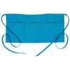 FAME Delta Plus Original 3 Pocket Waist Apron - F9 -Turquoise (WFA83283TU) view 1