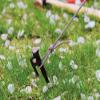 Snowpeak (suno-pi-ku) Tent Gray Rope Pro. 3 mm 10 m Cut AP 020 view 3