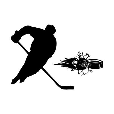 3D Puck Hockey Wall Decal
