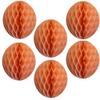 12" Honeycomb Tissue Paper Ball Decoration (6-Pack, Peach) view 1