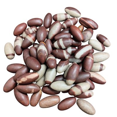 Narmada Shiva Lingam Pocket Stones 1" (51 Pcs Set)  Natural Banalinga Shivling from Narmada River India | Sacred for Puja, Meditation, Temple & Home Decor | Healing, Energy Balance | Spiritual Gift