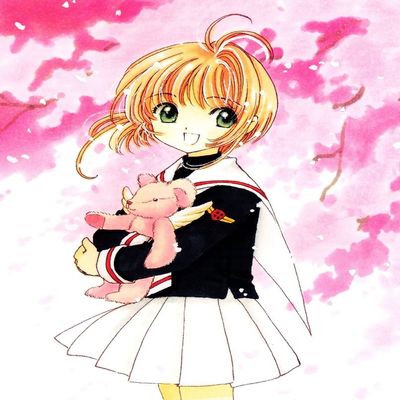 Card Captor Sakura Customized 14x18 inch Silk Print Poster/WallPaper Great Gift