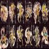 Saint Seiya Customized 29x14 inch Silk Print Poster/WallPaper Great Gift view 1