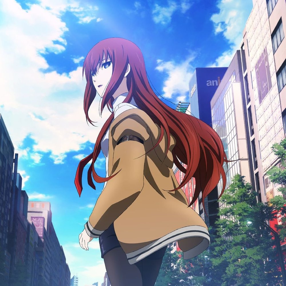 Steins Gate Customized 14inch x 14inch Silk Print Poster/WallPaper Great Gift
