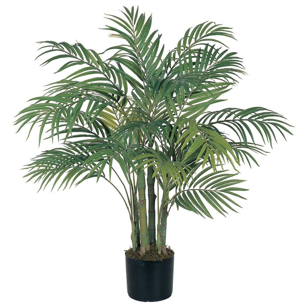 3' Areca Palm Tree (Green) (3'H x 27"W x 27"D)