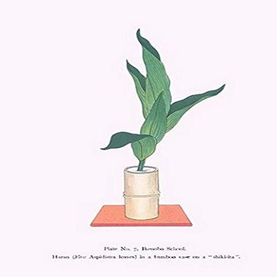 Buyenlarge 0-587-26578-7-P2030 'Haran-Five Aspidistra Leaves in Bamboo Vase' Paper Poster, 20 by 30-Inch
