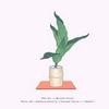 Buyenlarge 0-587-26578-7-P2030 'Haran-Five Aspidistra Leaves in Bamboo Vase' Paper Poster, 20 by 30-Inch view 1