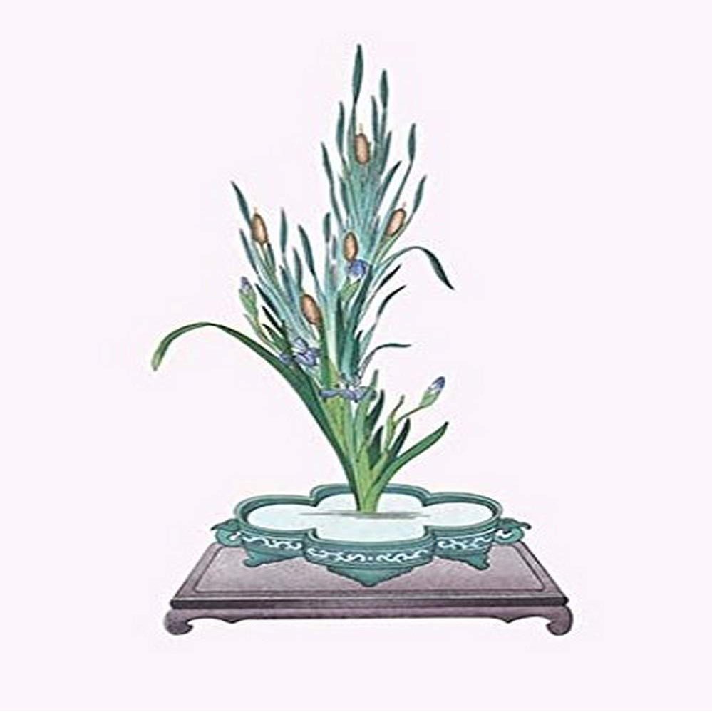 Buyenlarge 0-587-26585-x-P2030 'Gama and Kakitsubata-Bulrush and Iris Laevigata in a Sunabachi' Paper Poster, 20 by 30-Inch