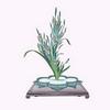 Buyenlarge 0-587-26585-x-P2030 'Gama and Kakitsubata-Bulrush and Iris Laevigata in a Sunabachi' Paper Poster, 20 by 30-Inch view 1