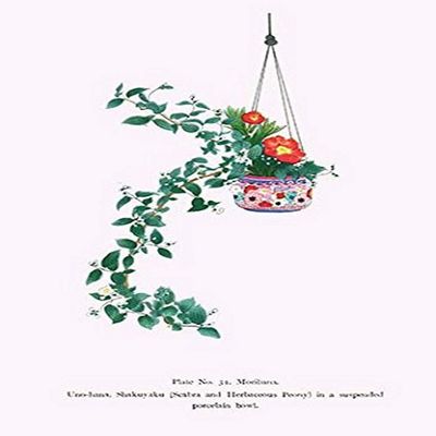 Buyenlarge 0-587-26638-4-P2030 'Uno-Hana and Shakuyaku-Scabra and Herbaceous Peony in a Suspended Porcelain Bowl' Paper Poster, 20 by 30-Inch