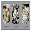 Buyenlarge 'Neomammill Elongata Rufociocea' Paper Poster, 20 by 30-Inch view 1