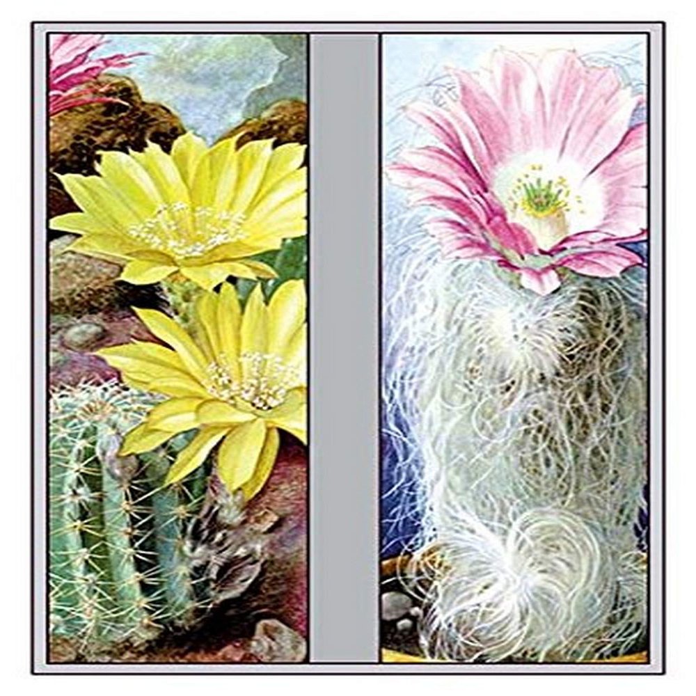 Buyenlarge 'Flower, Cactus and Flower' Paper Poster, 20 by 30-Inch