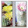 Buyenlarge 'Flower, Cactus and Flower' Paper Poster, 20 by 30-Inch view 1