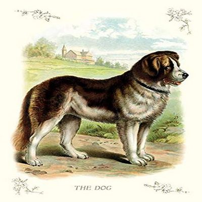 Buyenlarge 'The Dog' Paper Poster, 20 by 30-Inch