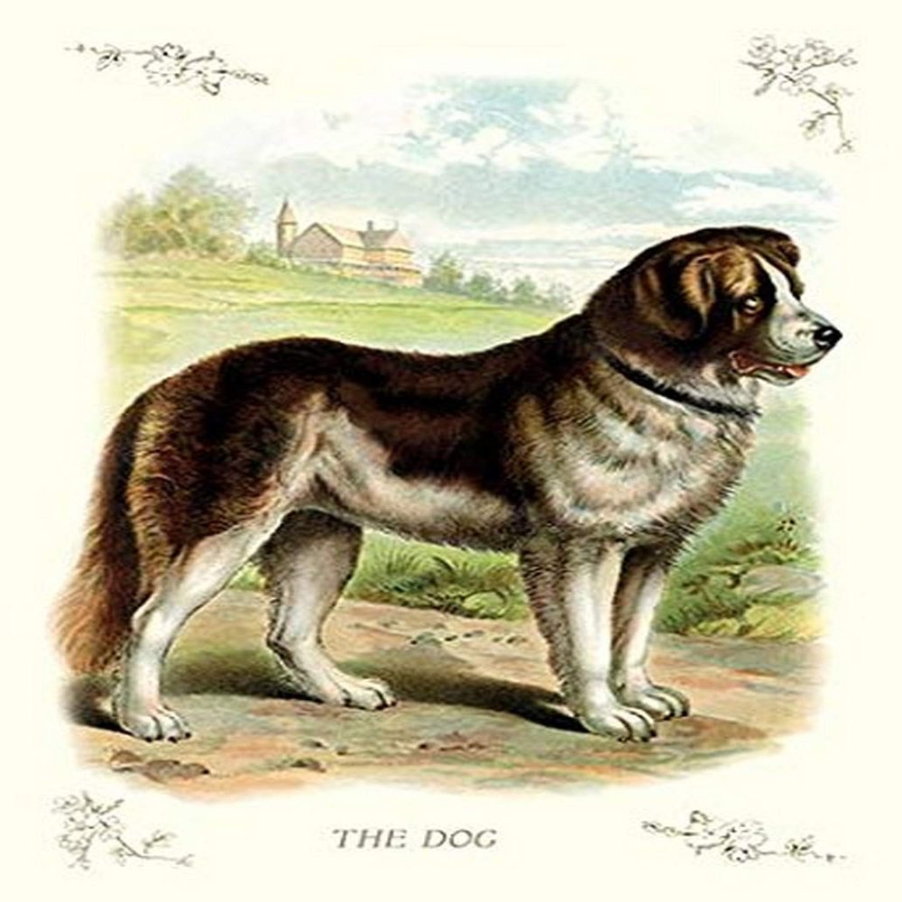 Buyenlarge 'The Dog' Paper Poster, 20 by 30-Inch