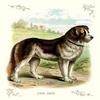 Buyenlarge 'The Dog' Paper Poster, 20 by 30-Inch view 1