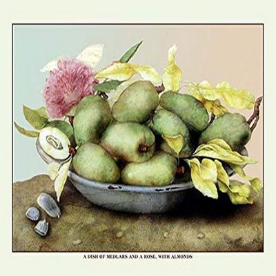 Buyenlarge 'A Dish of Medlars, a Rose and Almonds' Paper Poster, 20 by 30-Inch