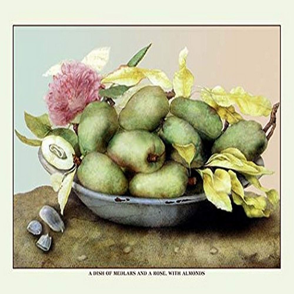 Buyenlarge 'A Dish of Medlars, a Rose and Almonds' Paper Poster, 20 by 30-Inch