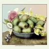 Buyenlarge 'A Dish of Medlars, a Rose and Almonds' Paper Poster, 20 by 30-Inch view 1