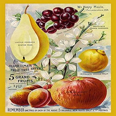 Buyenlarge '5 Grand Fruits' Paper Poster, 20 by 30-Inch