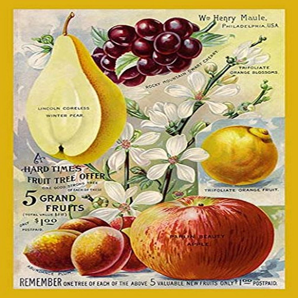 Buyenlarge '5 Grand Fruits' Paper Poster, 20 by 30-Inch