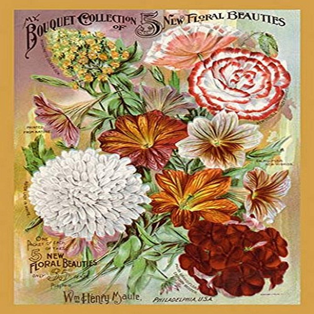 Buyenlarge 'My Bouquet Collection of Five New Floral Beauties' Paper Poster, 20 by 30-Inch