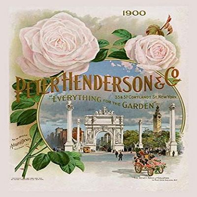 Buyenlarge 'Peter Henderson and Co.-"Everything for The Garden"' Paper Poster, 20 by 30-Inch