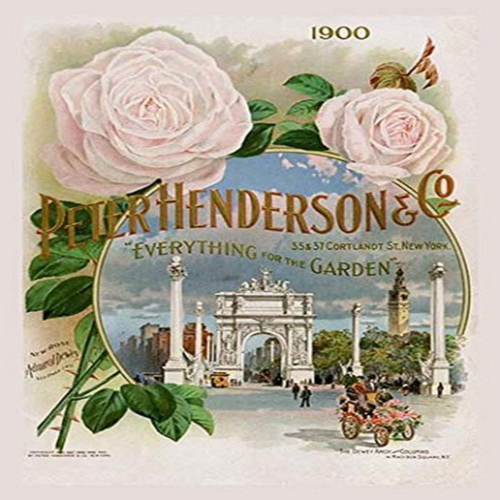 Buyenlarge 'Peter Henderson and Co.-"Everything for The Garden"' Paper Poster, 20 by 30-Inch