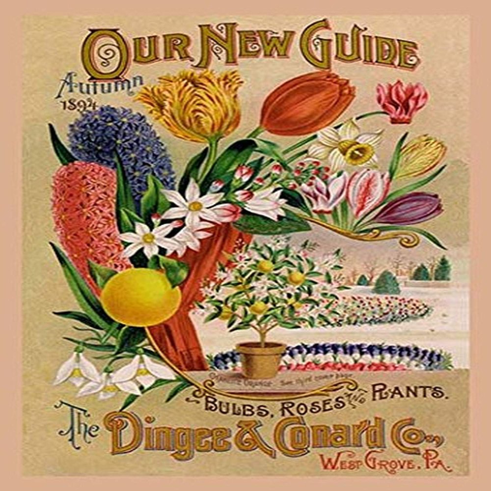 Buyenlarge 'Our New Guide, Autumn 1894' Paper Poster, 20 by 30-Inch