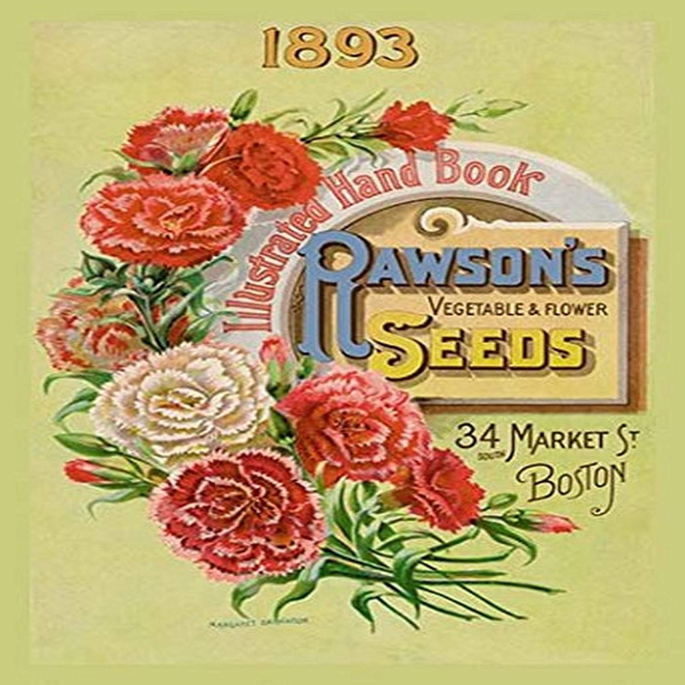 Buyenlarge 'Rawson's Vegetable and Flower Seeds' Paper Poster, 20 by 30-Inch