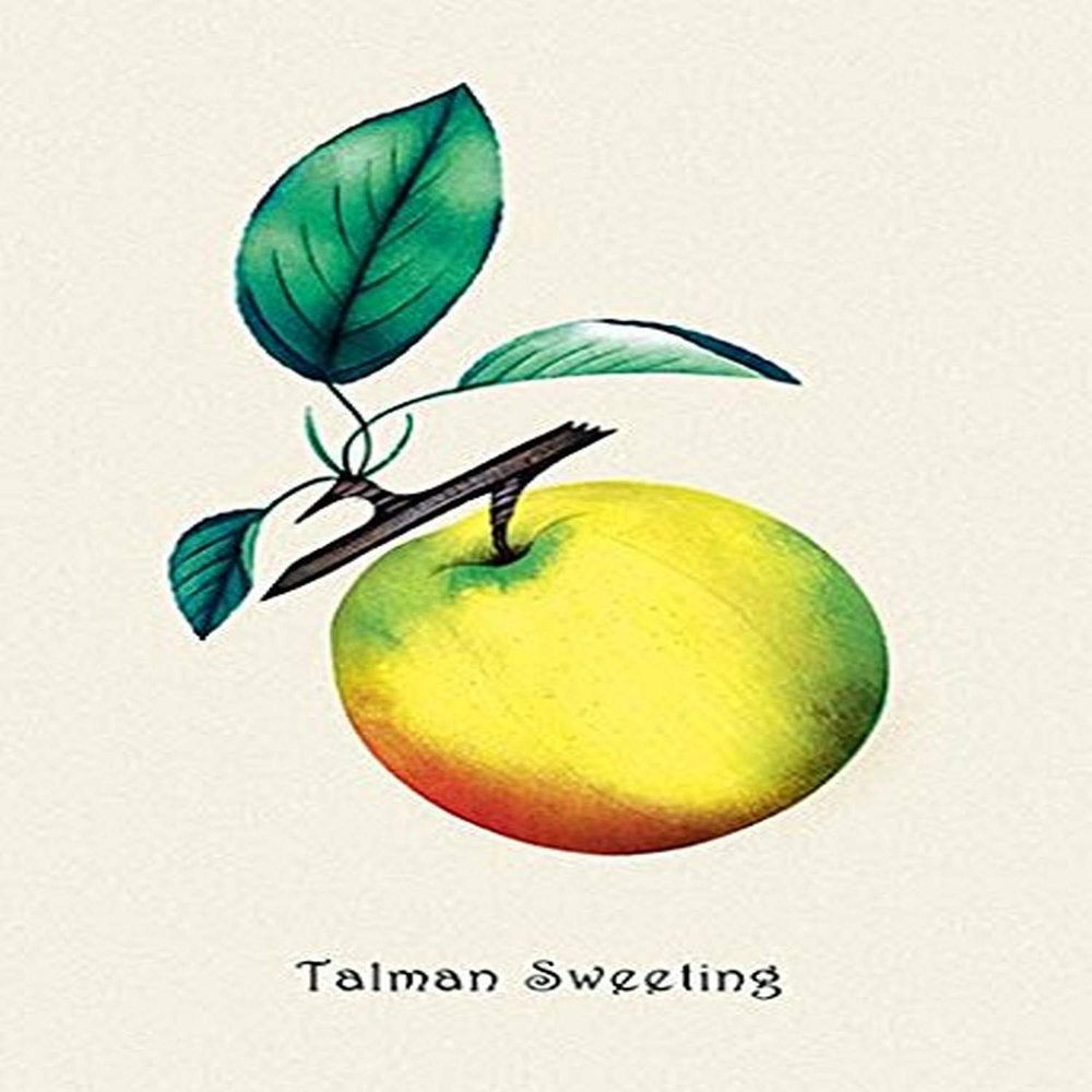 Buyenlarge 'Talman Sweeting' Paper Poster, 20 by 30-Inch