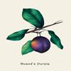 Buyenlarge 'Duand's Purple Grapes' Paper Poster, 20 by 30-Inch view 1