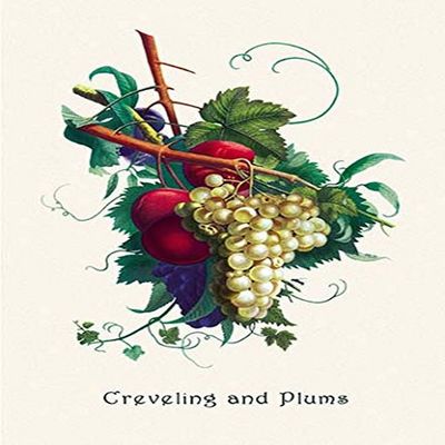 Buyenlarge 'Creveling Grapes and Plums' Paper Poster, 20 by 30-Inch