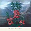 Buyenlarge 'The Narrow-Leaved Kalima' Paper Poster, 20 by 30-Inch view 1
