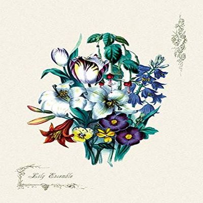 Buyenlarge 'Lily Ensemble' Paper Poster, 20 by 30-Inch