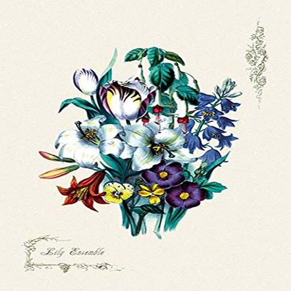 Buyenlarge 'Lily Ensemble' Paper Poster, 20 by 30-Inch