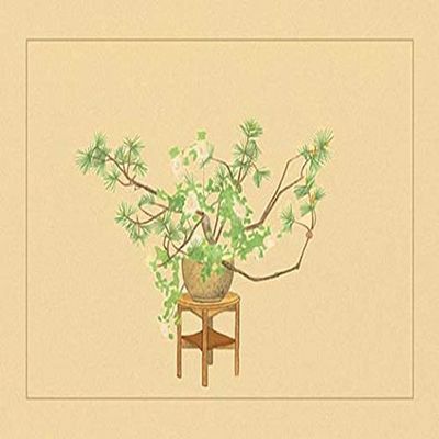 Buyenlarge 'Pine and Rose' Paper Poster, 20 by 30-Inch