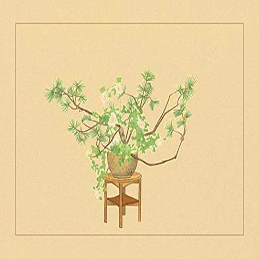 Buyenlarge 'Pine and Rose' Paper Poster, 20 by 30-Inch