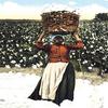 Buyenlarge 'Woman with Basket of Cotton' Paper Poster, 20 by 30-Inch view 1