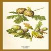 Buyenlarge 'Oak Apple Acorn' Paper Poster, 20 by 30-Inch view 1