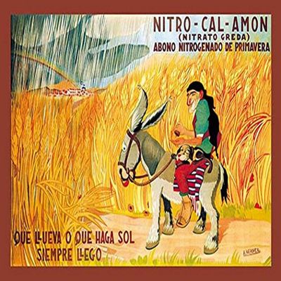 Buyenlarge 'Nitro-Cal-Amon' Paper Poster, 20 by 30-Inch