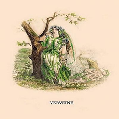 Buyenlarge 'Verveine' Paper Poster, 20 by 30-Inch