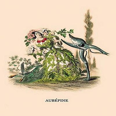 Buyenlarge 'Aubepine' Paper Poster, 20 by 30-Inch