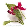 Buyenlarge 'Lycaste Mary Gratrix' Paper Poster, 20 by 30-Inch view 1