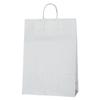 Shimojima Heiko 003287000 Handbag, Paper Bags, 25CB Standard, Shiro, 13.4 x 5.5 x 18.9 inches (34 x 14 x 48 cm), 50 Sheets view 1