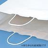 Shimojima Heiko 003287000 Handbag, Paper Bags, 25CB Standard, Shiro, 13.4 x 5.5 x 18.9 inches (34 x 14 x 48 cm), 50 Sheets view 2